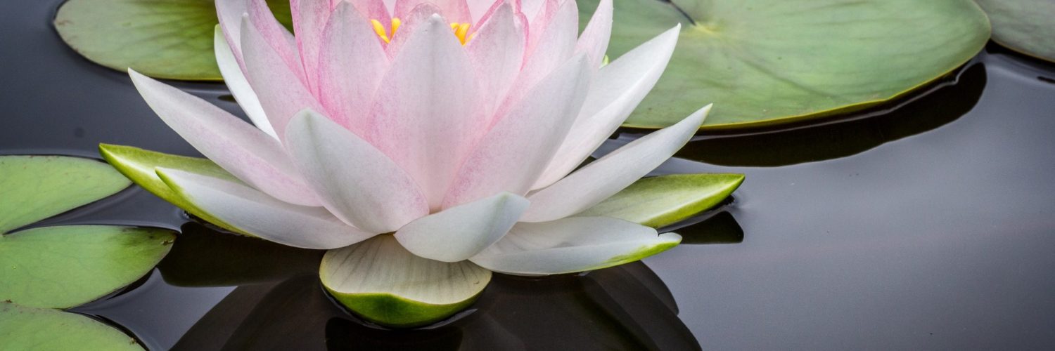 jay-castor-7AcMUSYRZpU-unsplash