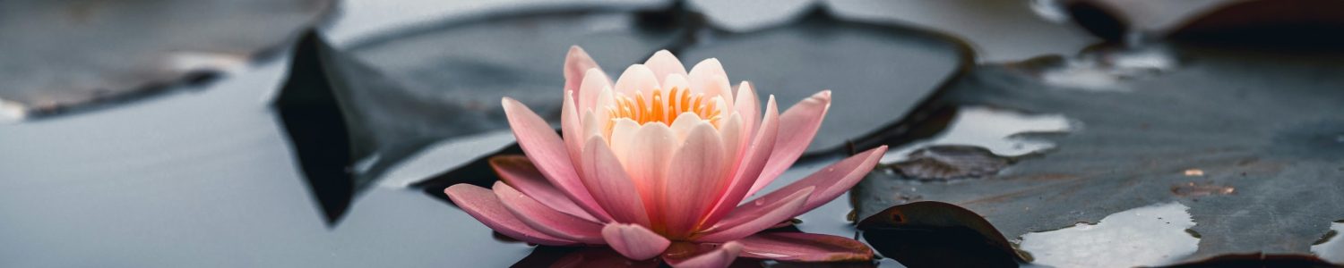 getty-images-MHNO45T-EBg-unsplash