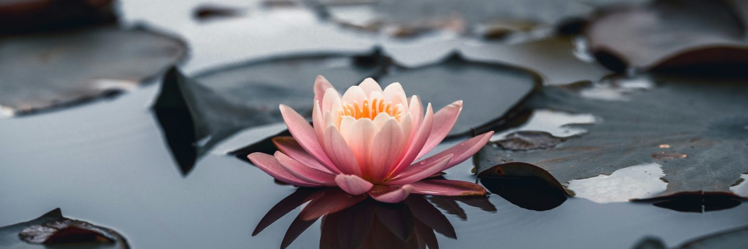 getty-images-MHNO45T-EBg-unsplash