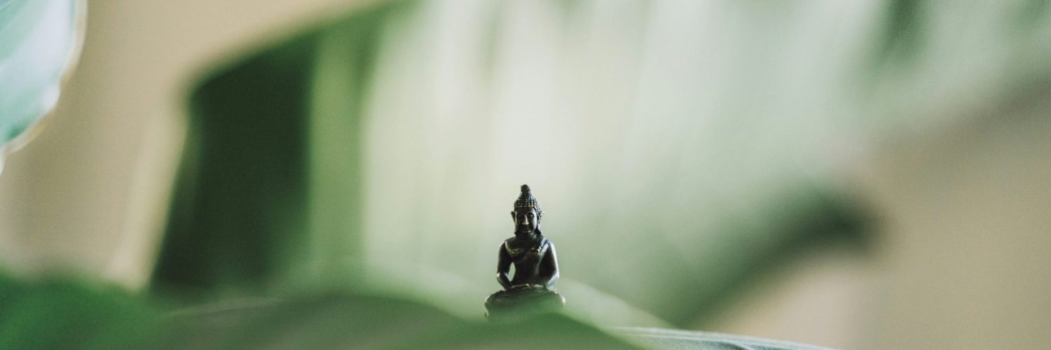 samuel-austin-0tTA6cewPr8-unsplash-scaled