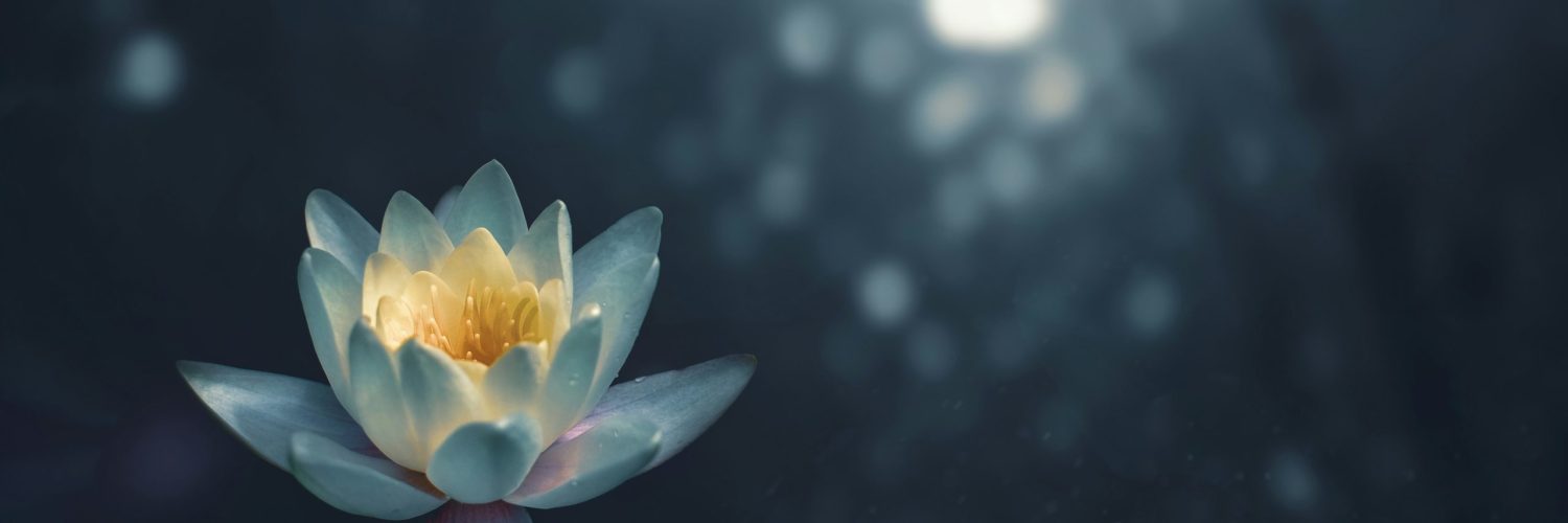 zoltan-tasi-vHnVtLK8rCc-unsplash